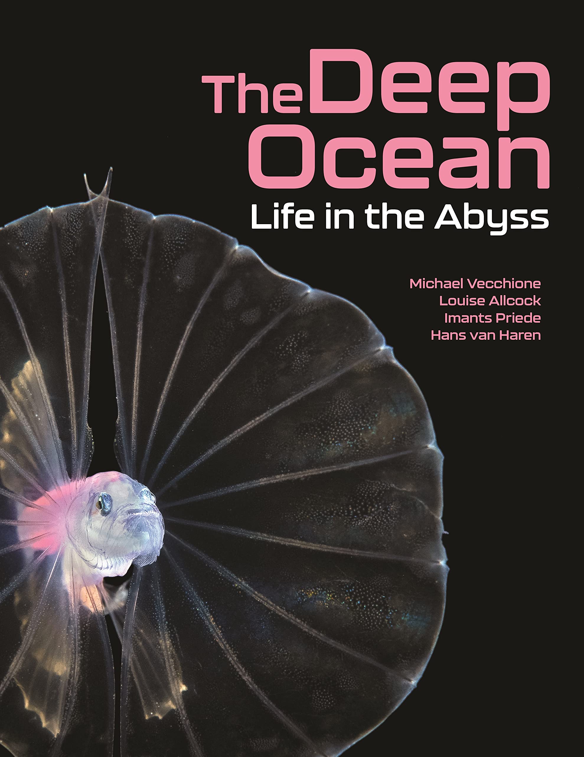 The Deep Ocean: Life in the Abyss | Amazon.com.br